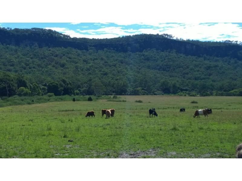 1870 Orara Way, Glenreagh NSW 2450