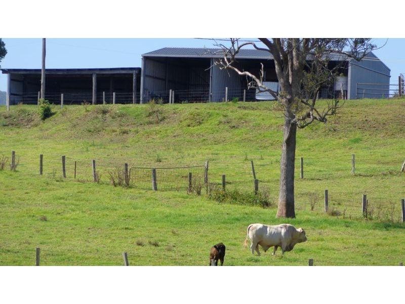 273 Upper Warrell Creek Road, Macksville NSW 2447