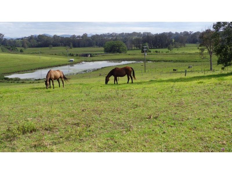 273 Upper Warrell Creek Road, Macksville NSW 2447