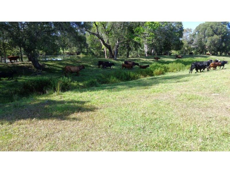 273 Upper Warrell Creek Road, Macksville NSW 2447