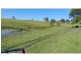 273 Upper Warrell Creek Road, Macksville NSW 2447