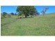 273 Upper Warrell Creek Road, Macksville NSW 2447