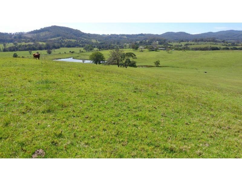 273 Upper Warrell Creek Road, Macksville NSW 2447