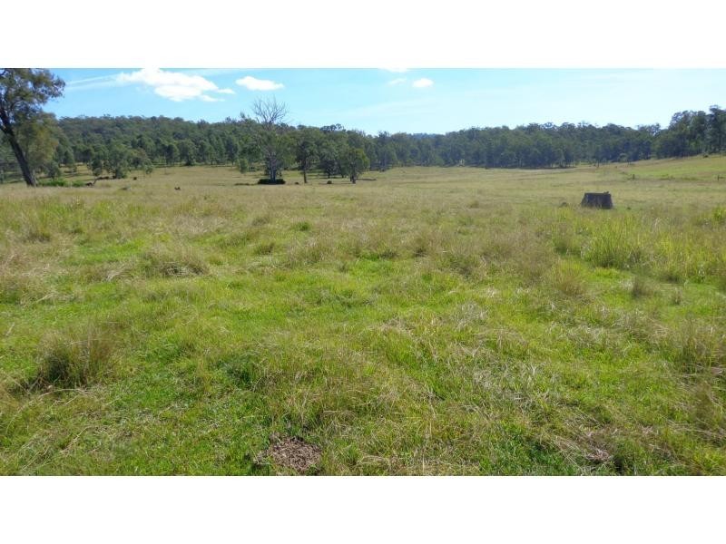 Fine Flower NSW 2460