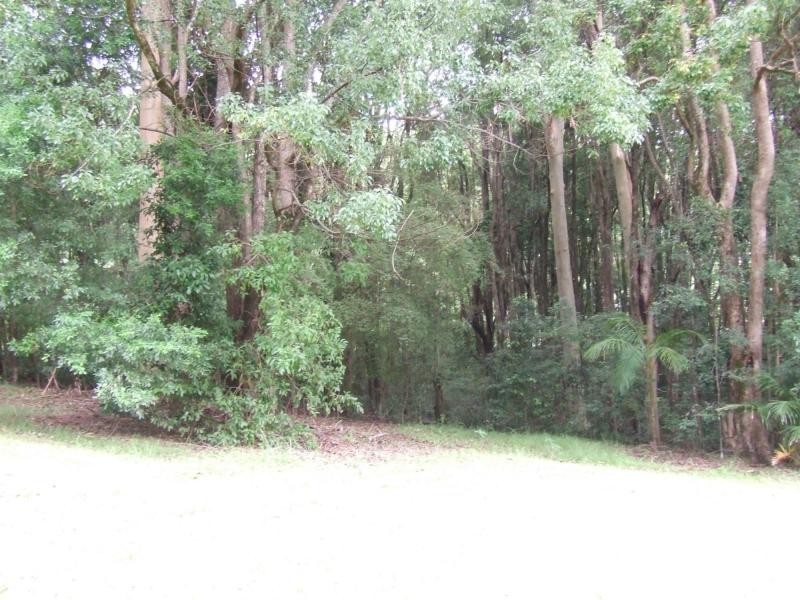 Karangi NSW 2450