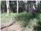 Kungala NSW 2460
