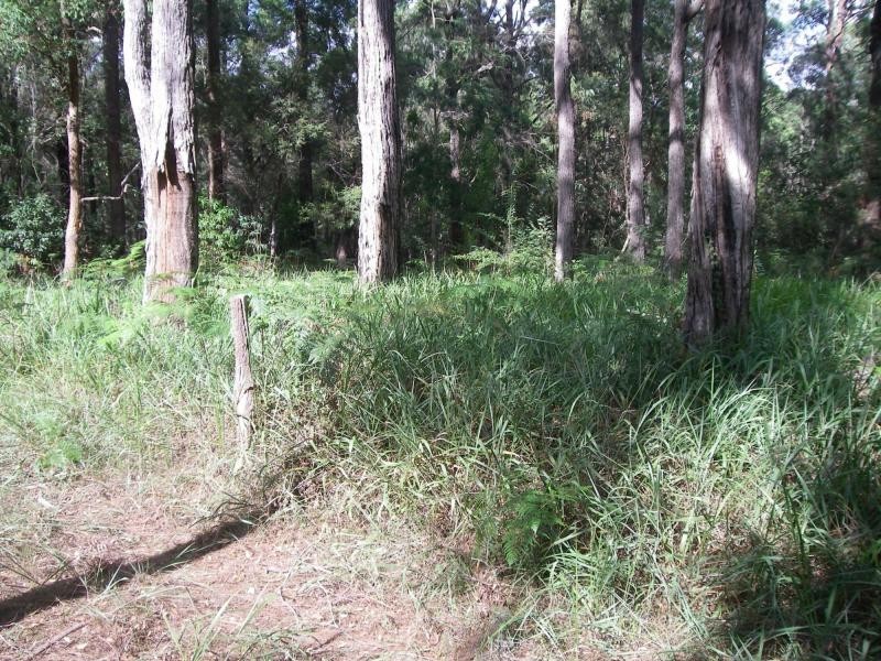Kungala NSW 2460
