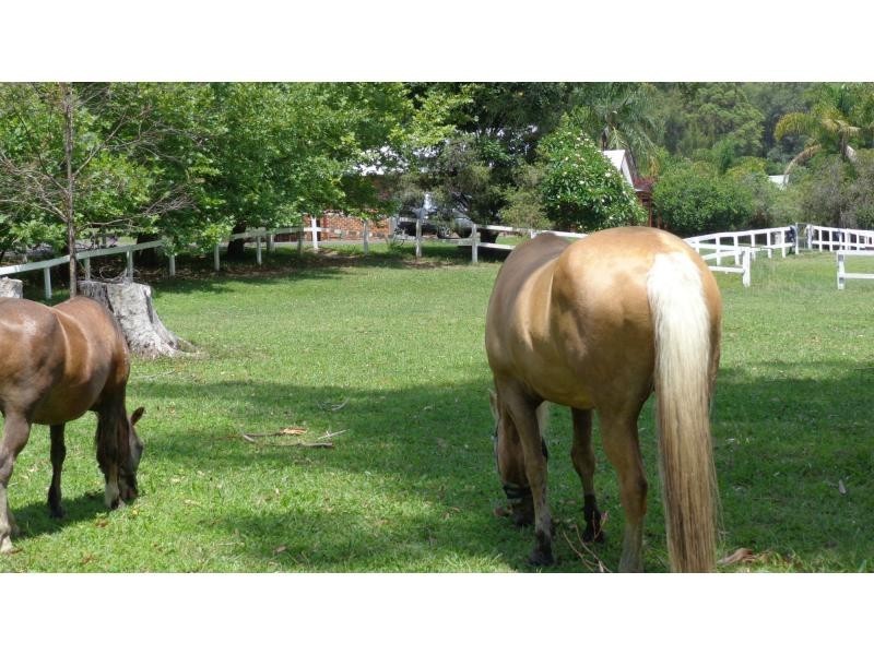 Lot 399 Linsays Road, Boambee NSW 2450