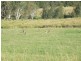 8154 Pacific Highway, Urunga NSW 2455