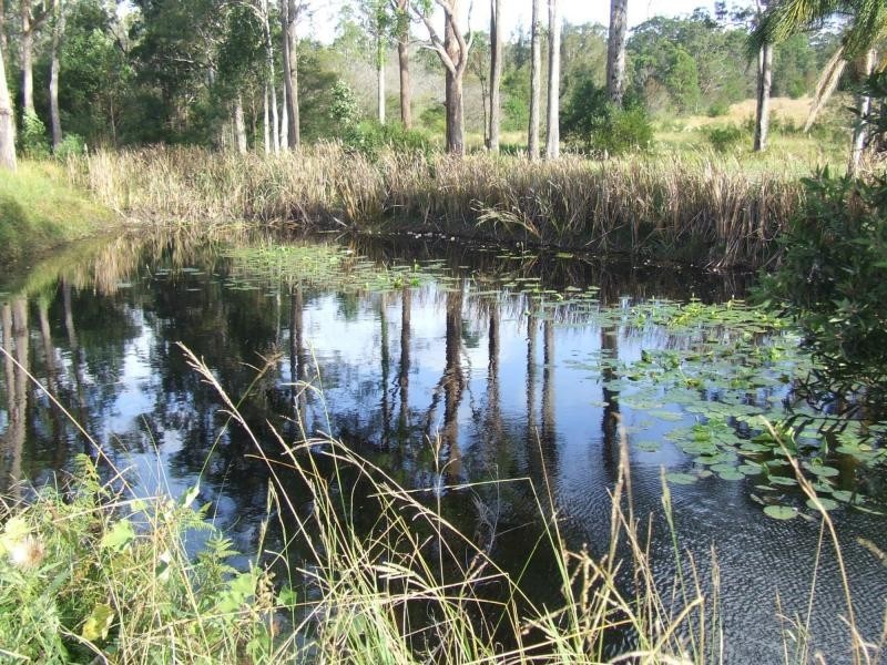 8154 Pacific Highway, Urunga NSW 2455