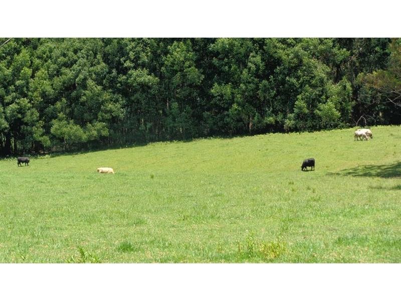 479 Bucca Road, Bucca NSW 2450