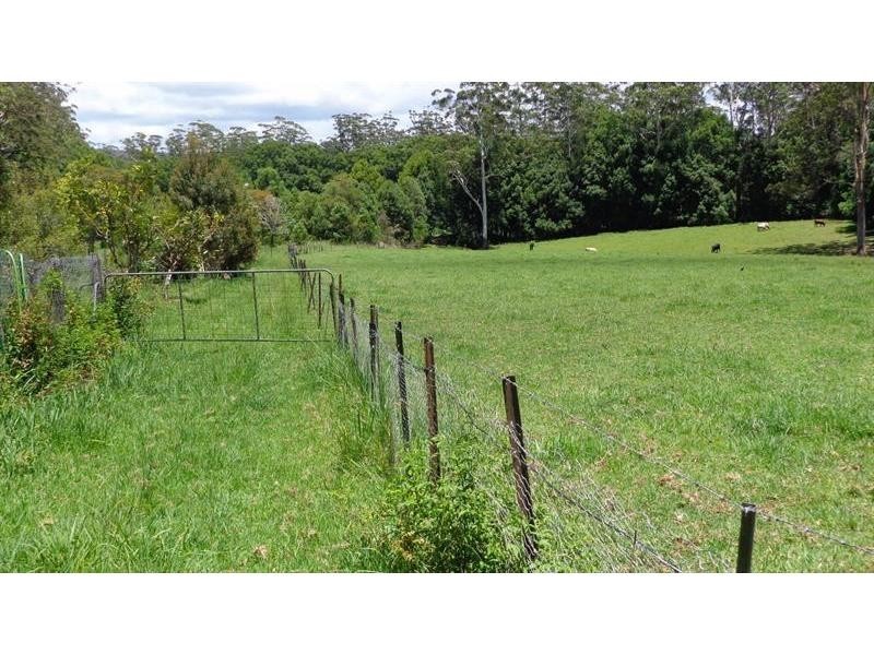 479 Bucca Road, Bucca NSW 2450