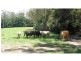 479 Bucca Road, Bucca NSW 2450