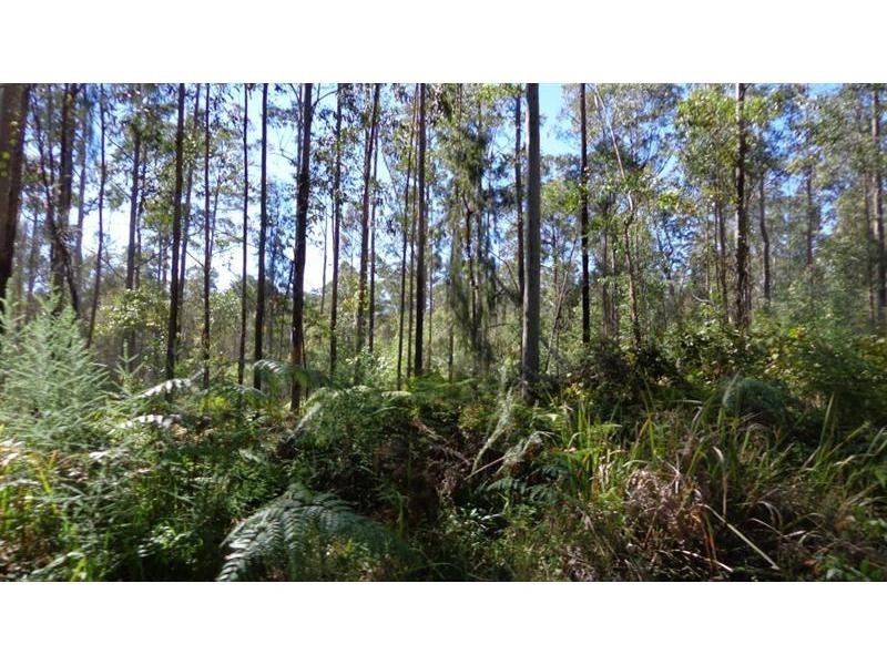 Clouds Creek NSW 2453