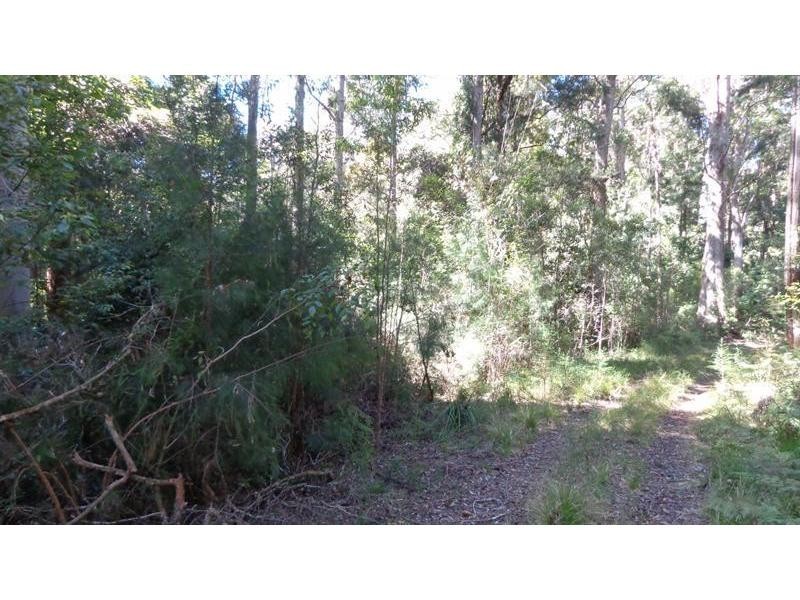 Clouds Creek NSW 2453