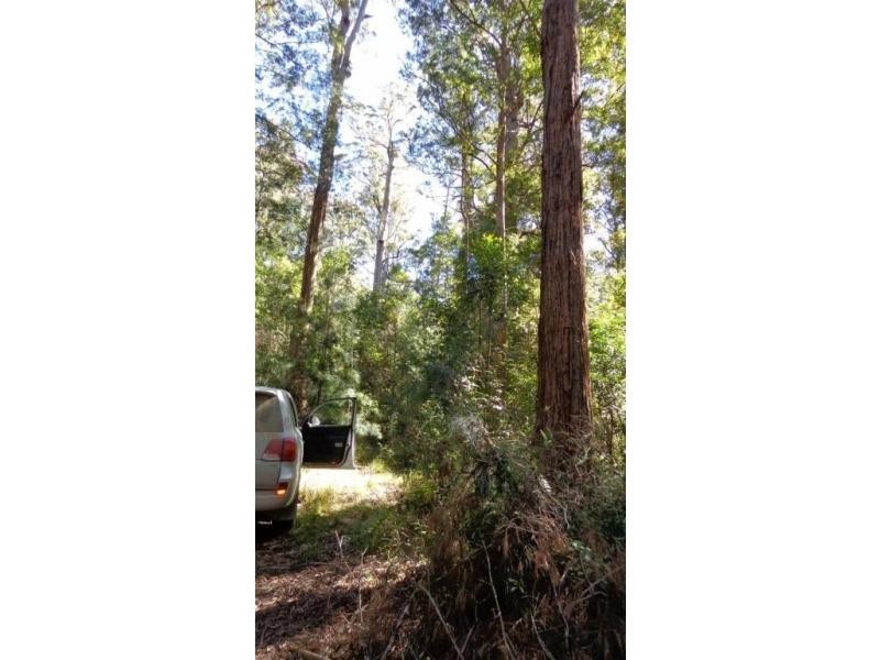 Clouds Creek NSW 2453