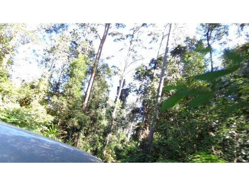 Clouds Creek NSW 2453