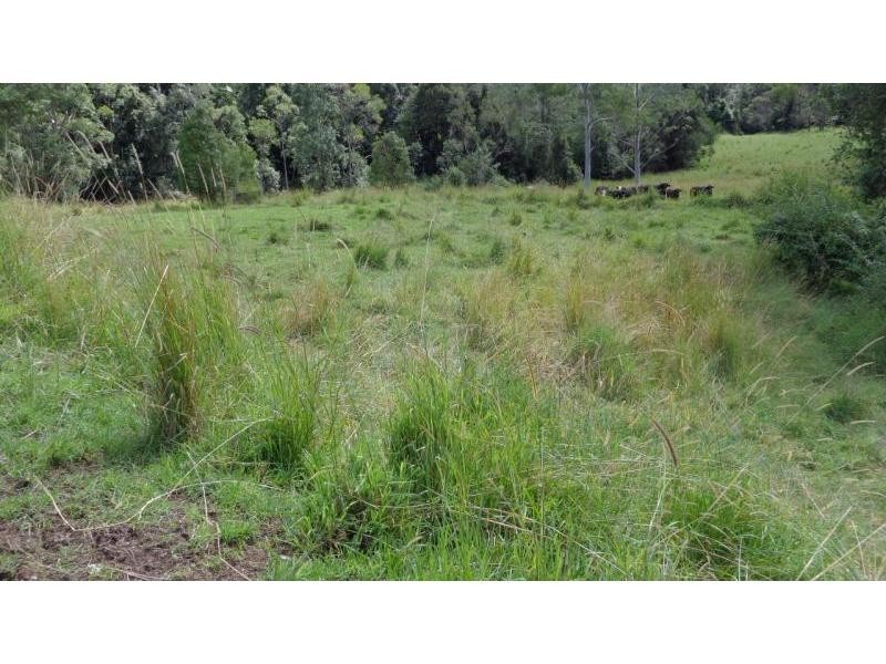 Upper Orara NSW 2450
