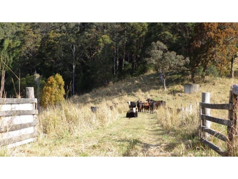 Upper Orara NSW 2450