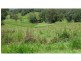 Upper Orara NSW 2450