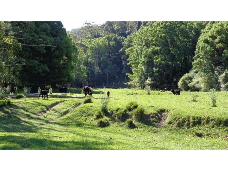 Lot 26 Upper Orara Road, Karangi NSW 2450