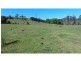 Lot 26 Upper Orara Road, Karangi NSW 2450