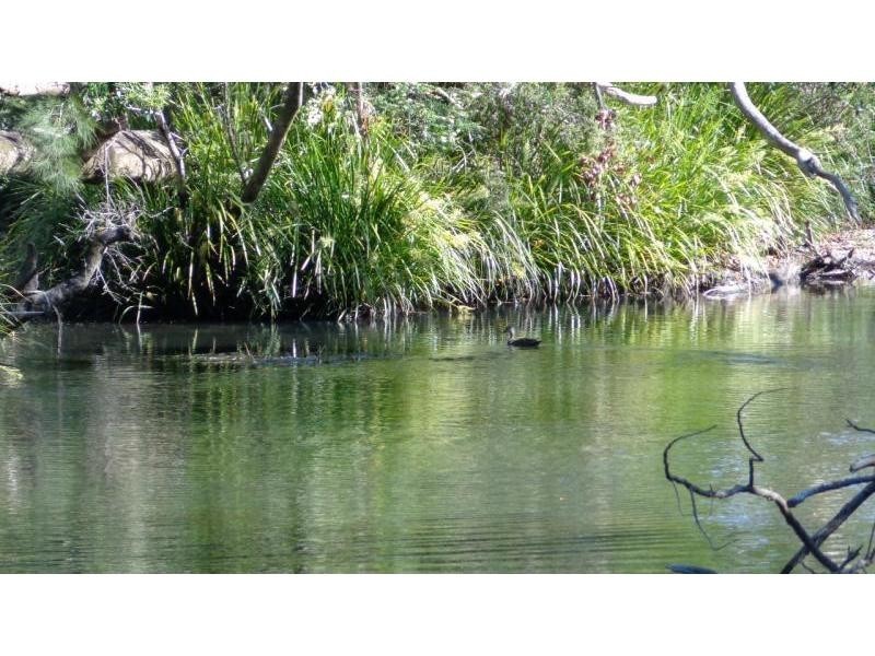 Lot 26 Upper Orara Road, Karangi NSW 2450