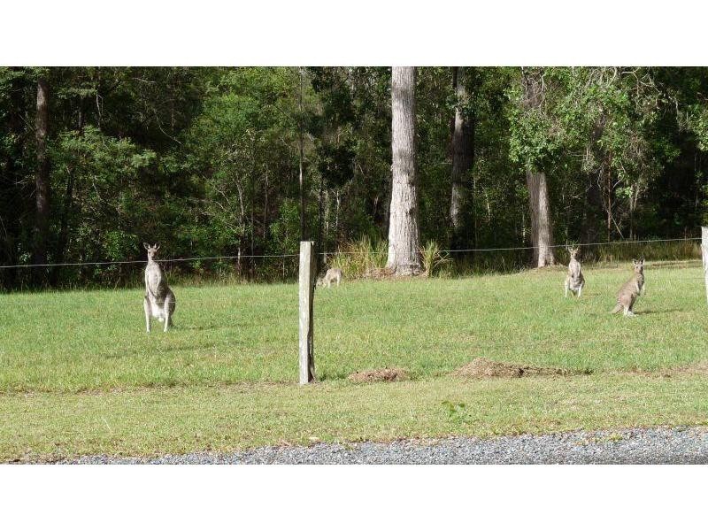 9 Lorikeet Place, Glenreagh NSW 2450