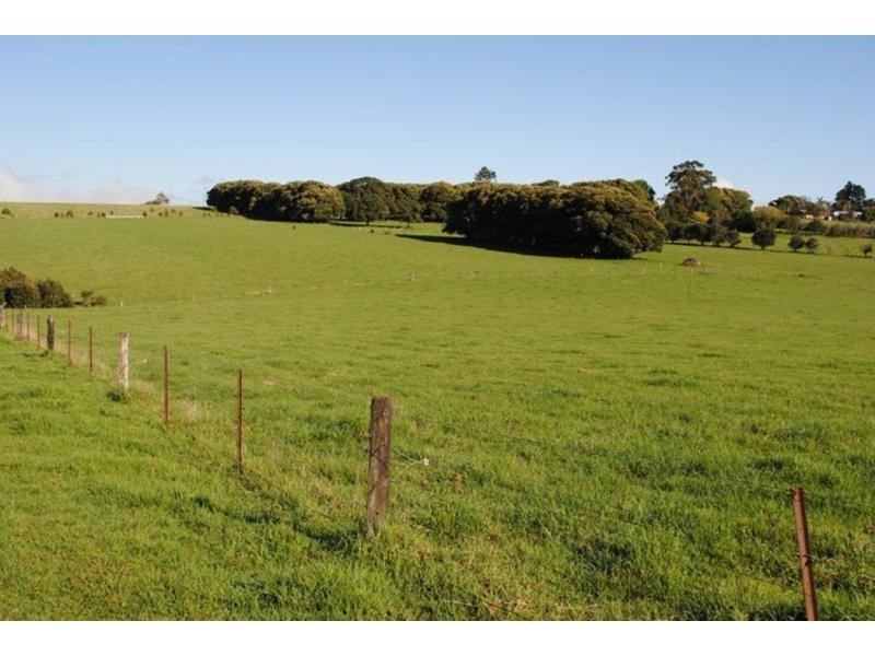 565 Old Coast Road, Dorrigo NSW 2453