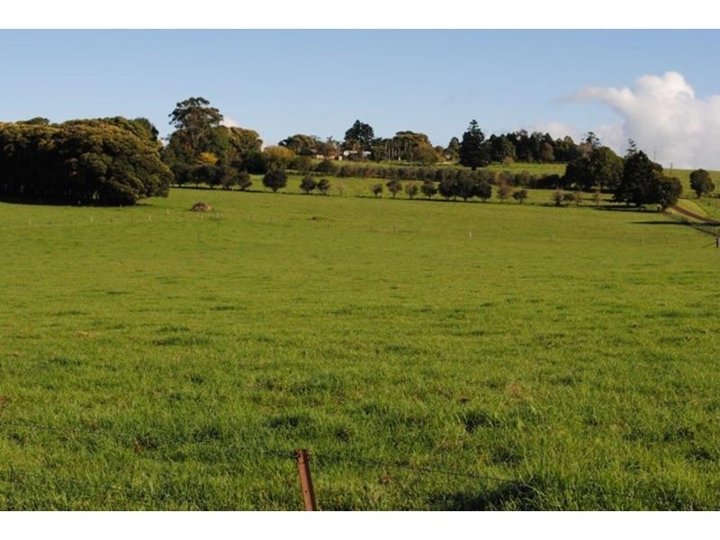 565 Old Coast Road, Dorrigo NSW 2453