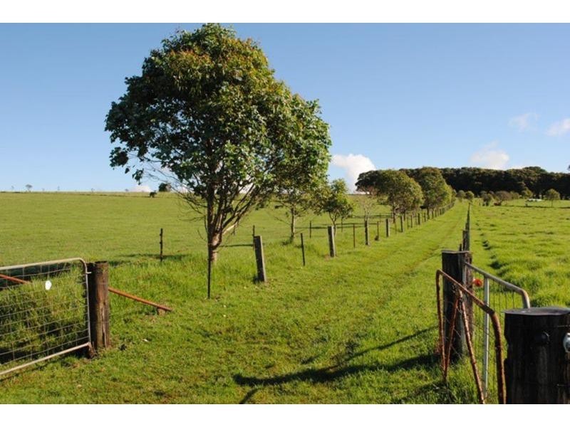 565 Old Coast Road, Dorrigo NSW 2453