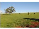 565 Old Coast Road, Dorrigo NSW 2453