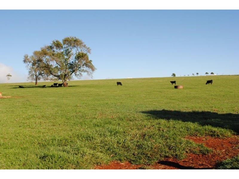 565 Old Coast Road, Dorrigo NSW 2453