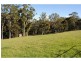 565 Old Coast Road, Dorrigo NSW 2453
