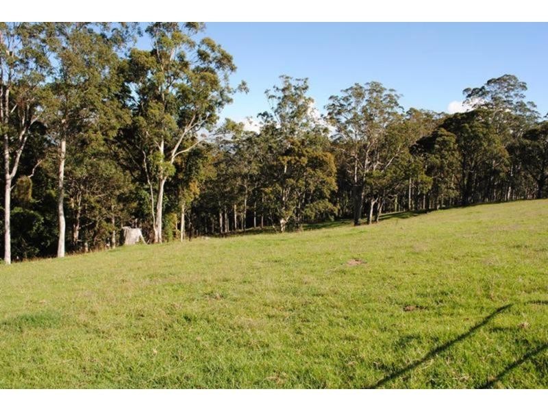 565 Old Coast Road, Dorrigo NSW 2453