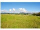 565 Old Coast Road, Dorrigo NSW 2453