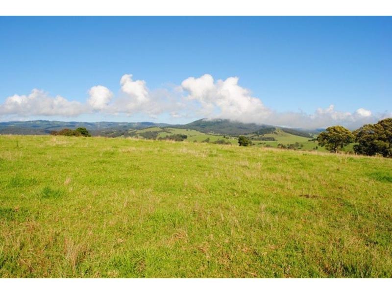 565 Old Coast Road, Dorrigo NSW 2453