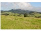 565 Old Coast Road, Dorrigo NSW 2453