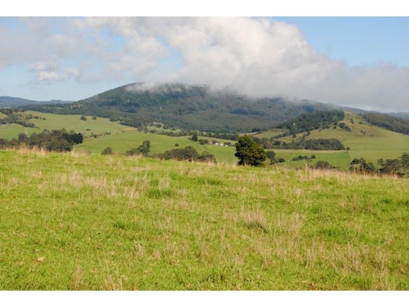 565 Old Coast Road, Dorrigo NSW 2453