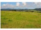565 Old Coast Road, Dorrigo NSW 2453