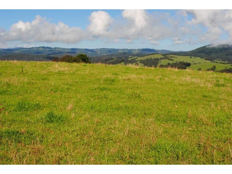 565 Old Coast Road, Dorrigo NSW 2453