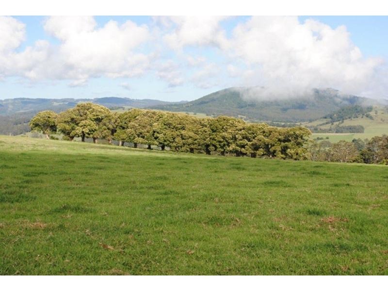 565 Old Coast Road, Dorrigo NSW 2453
