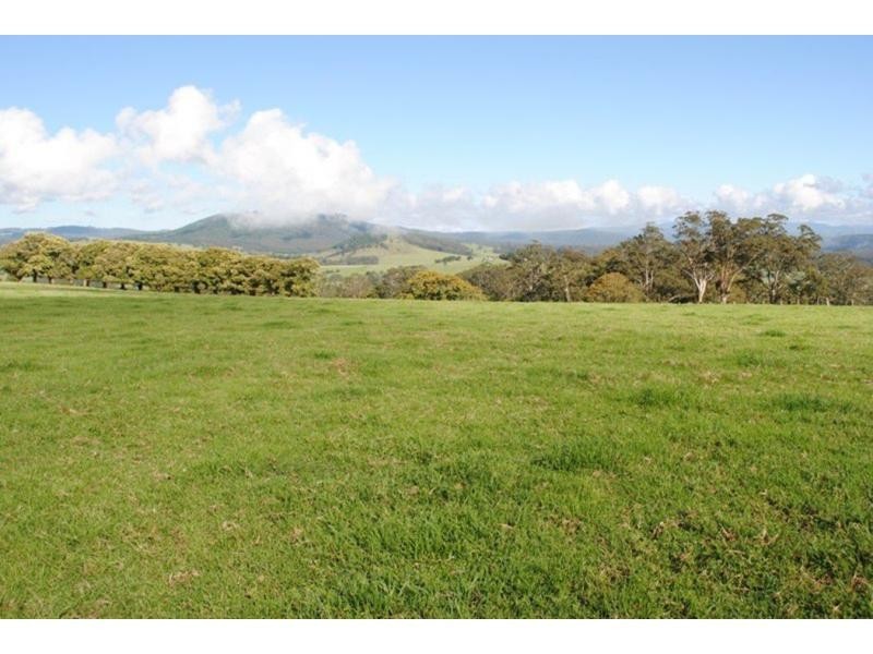 565 Old Coast Road, Dorrigo NSW 2453