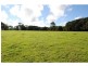 565 Old Coast Road, Dorrigo NSW 2453