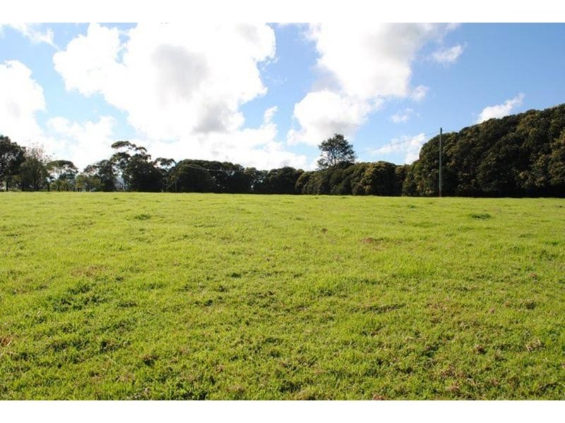 565 Old Coast Road, Dorrigo NSW 2453