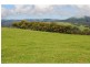 565 Old Coast Road, Dorrigo NSW 2453