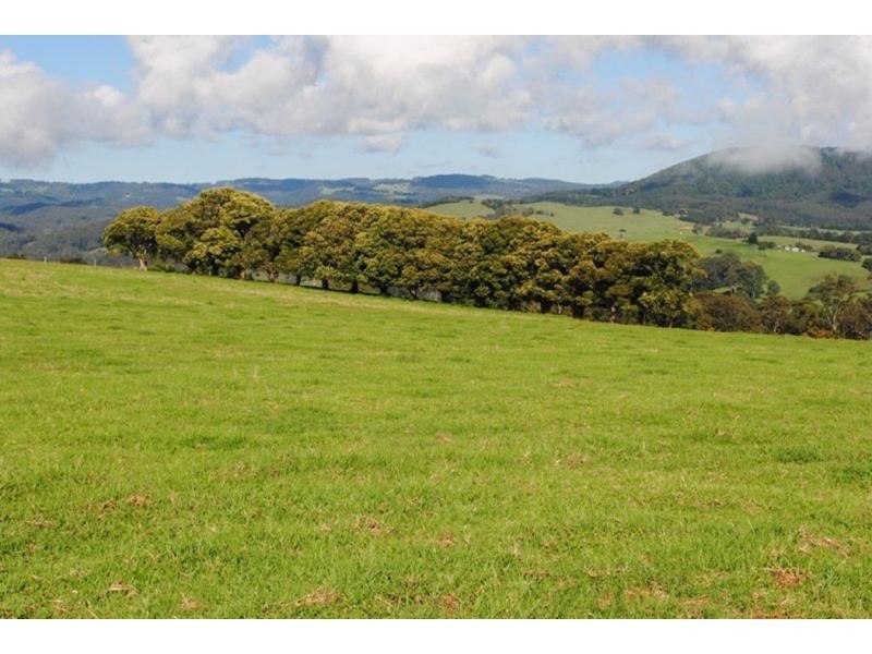 565 Old Coast Road, Dorrigo NSW 2453