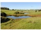 543 Old Coast Road, Dorrigo NSW 2453