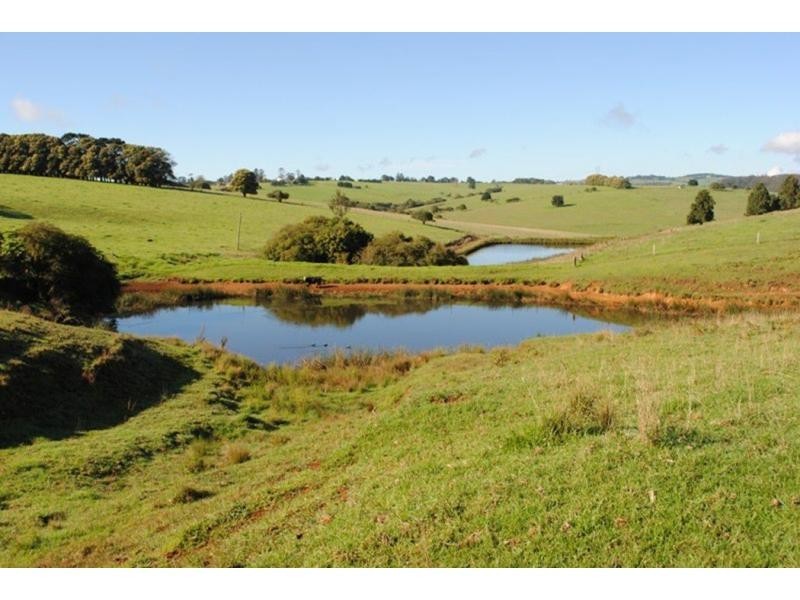 543 Old Coast Road, Dorrigo NSW 2453