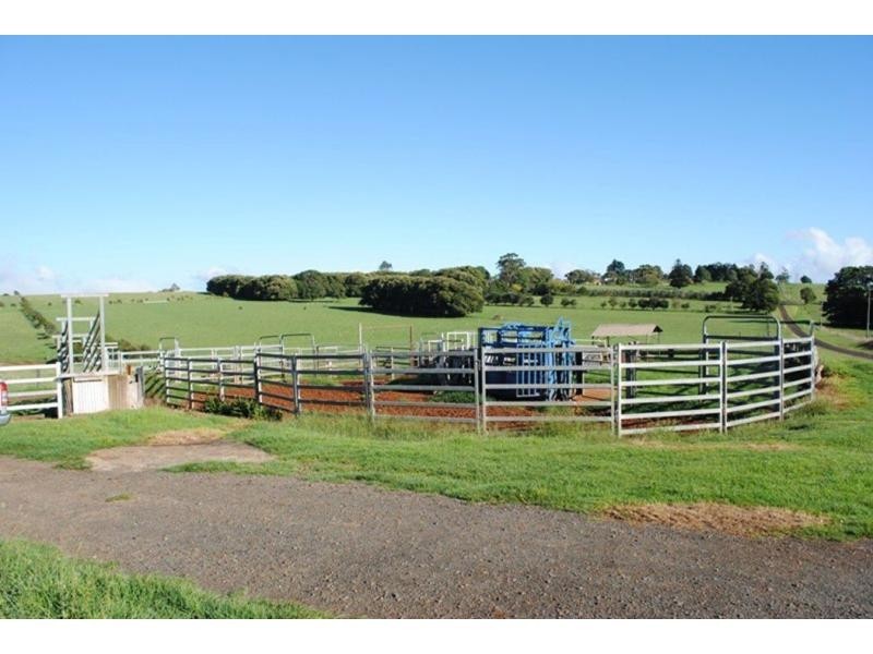 543 Old Coast Road, Dorrigo NSW 2453